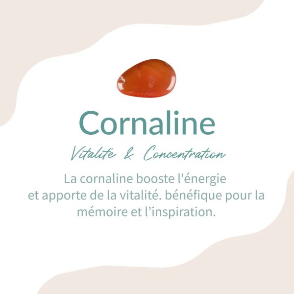 Bracelet en Cornaline – Image 4