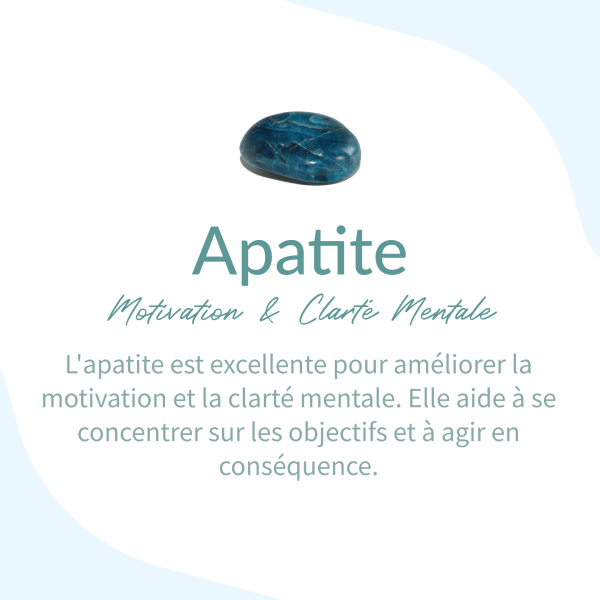 Bracelet "Harmonie Intérieure" en Apatite & Oeil de Tigre – Image 5